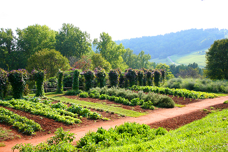 View from Mulberry Row of the gardens and neighboring hillside