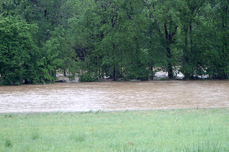 Across from our own house a river rages where there is normally just a trickling creek