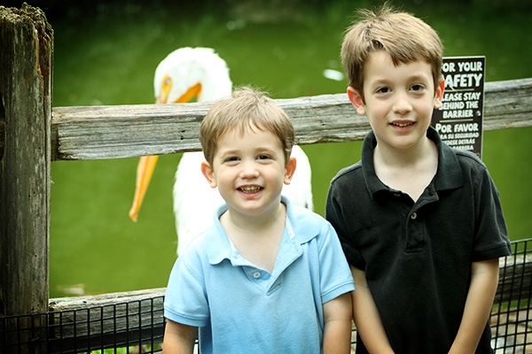 When Standing Upright, this Pelican Was Taller then the Boys!