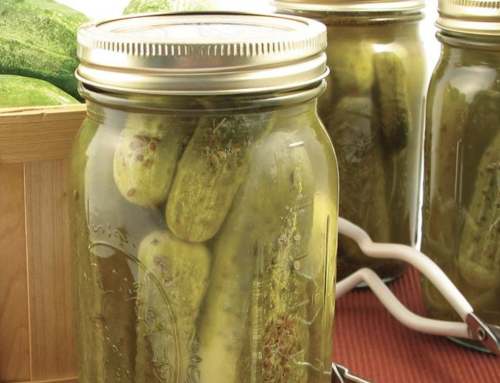 Classic Dill Pickles